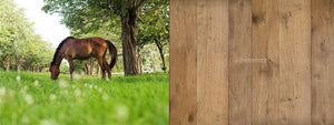 The Kings of France 18th Century French Oak Floors in Wide Plank Solid or Engineered - The Country House Collection: HISTORIC HICKORY