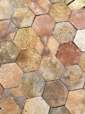 Hautvillers French Reclaimed Terra Cotta Tile Hexagons