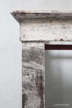 19th Century French Bourgogne Limestone Campagnarde Style Fireplace Mantel