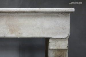 Antique 19th Century French Fireplace Mantel from Bourgogne Region, France
