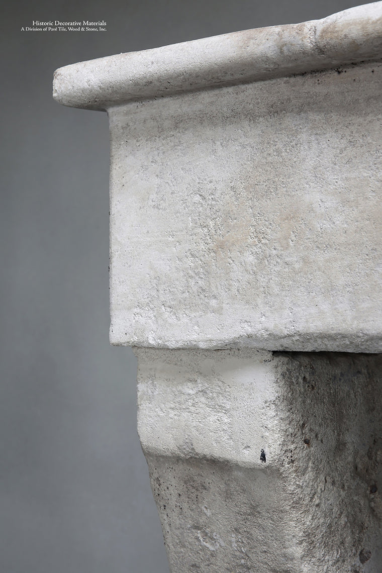 Antique 19th Century French Fireplace Mantel from Bourgogne Region, France