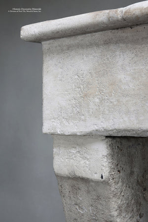 Antique 19th Century French Fireplace Mantel from Bourgogne Region, France