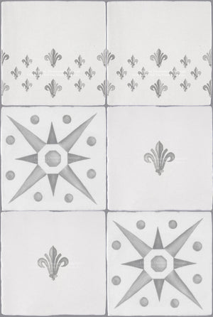 French Encaustic Decorative Wall Tile for Kitchens, Baths and Fireplace Surround Tiles